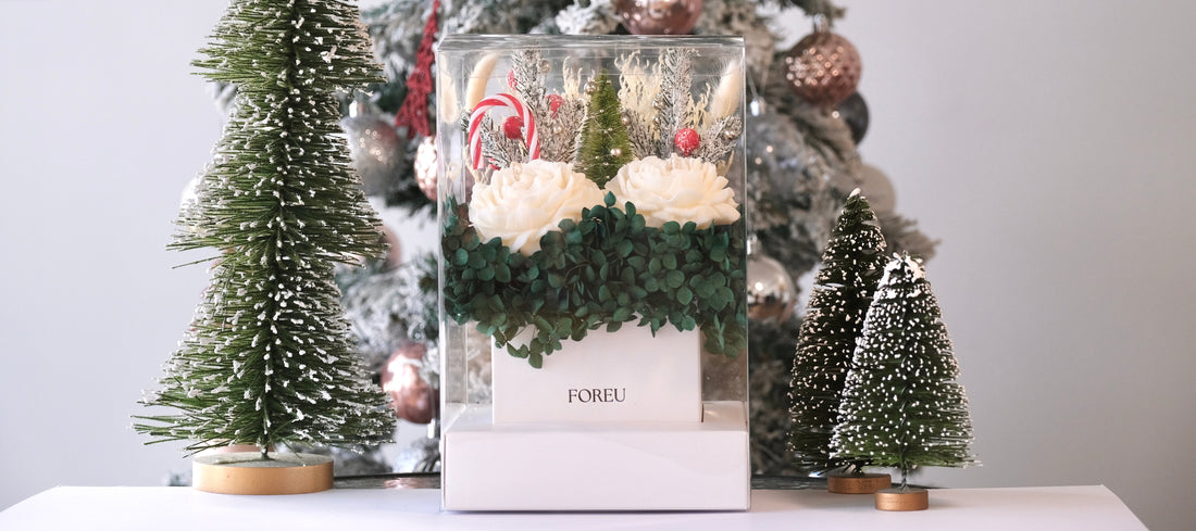 The Perfect Christmas Gift this Season is here! 🎄