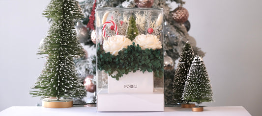 The Perfect Christmas Gift this Season is here! 🎄